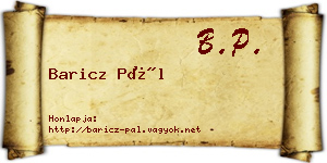 Baricz Pál névjegykártya